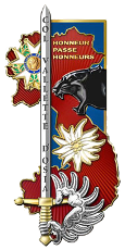 Insigne de la promotion Colonel Valeltte d'Osia