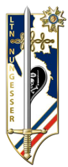 Insigne de la promotion Lieutenant Nungesser